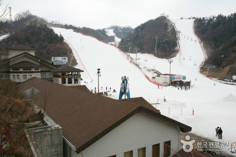 Elysian江村滑雪場 (8/18)