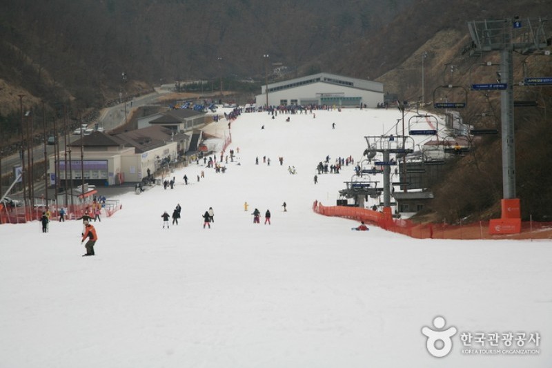 Elysian江村滑雪場 (9/18)