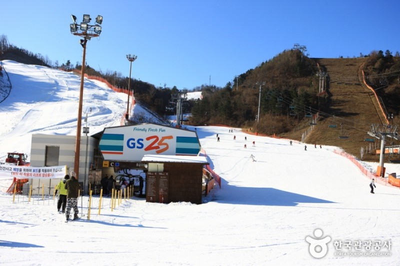 Elysian江村滑雪場 (16/18)