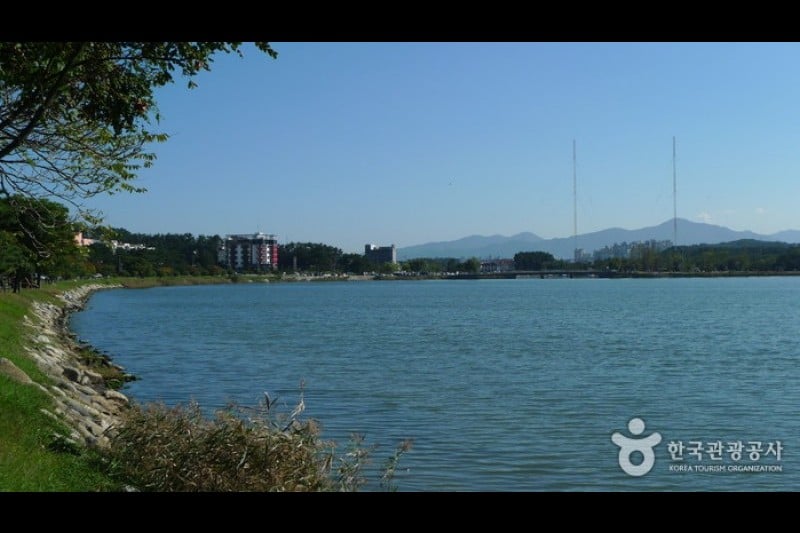 江陵鏡浦海邊 (6/13)