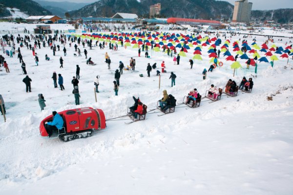 平昌鱒魚節
