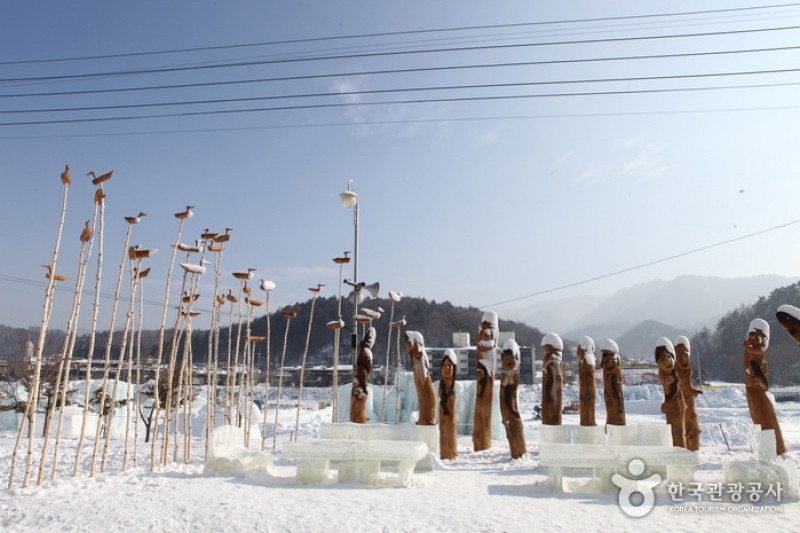 平昌鱒魚節 (2/6)