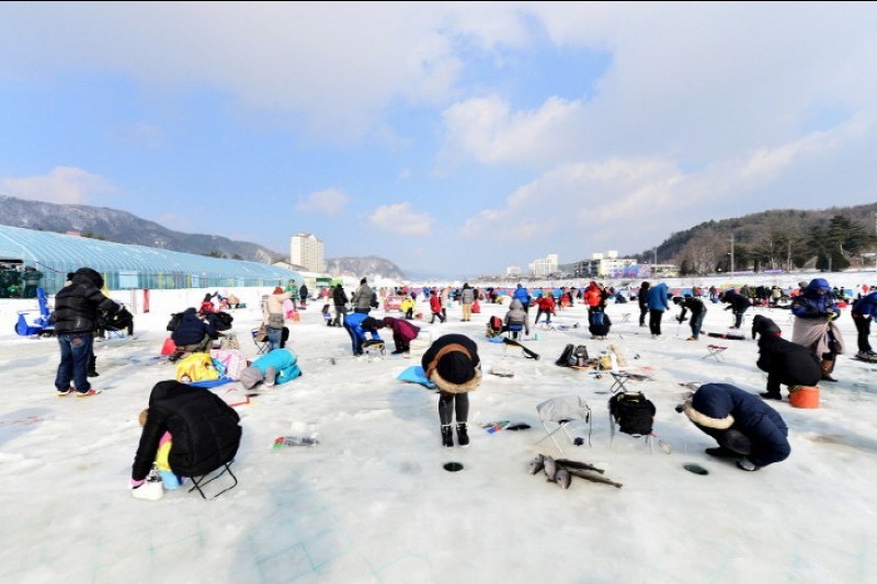 平昌鱒魚節 (4/6)