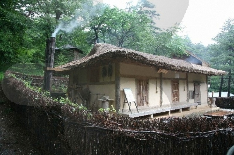 國立大關嶺自然休養林