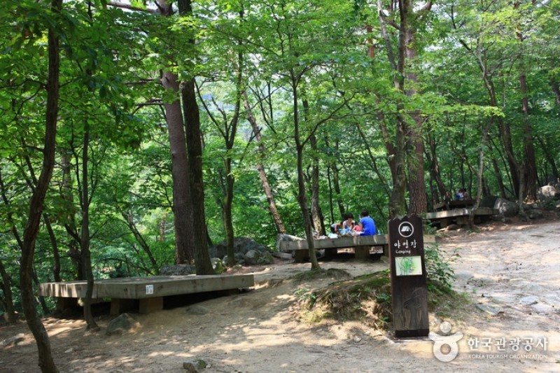 國立大關嶺自然休養林