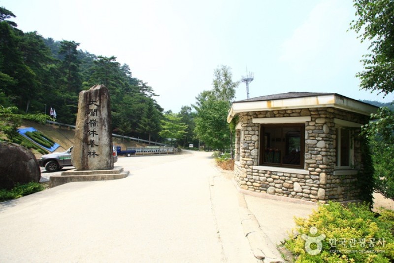 國立大關嶺自然休養林