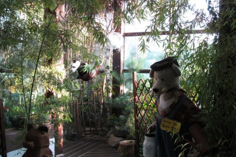 泰迪熊珍藏館