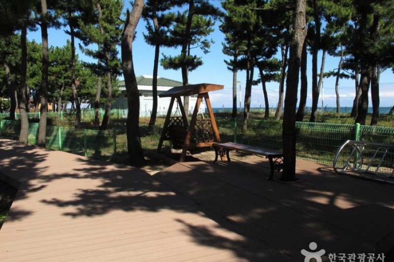 洛山海邊(洛山海水浴場)