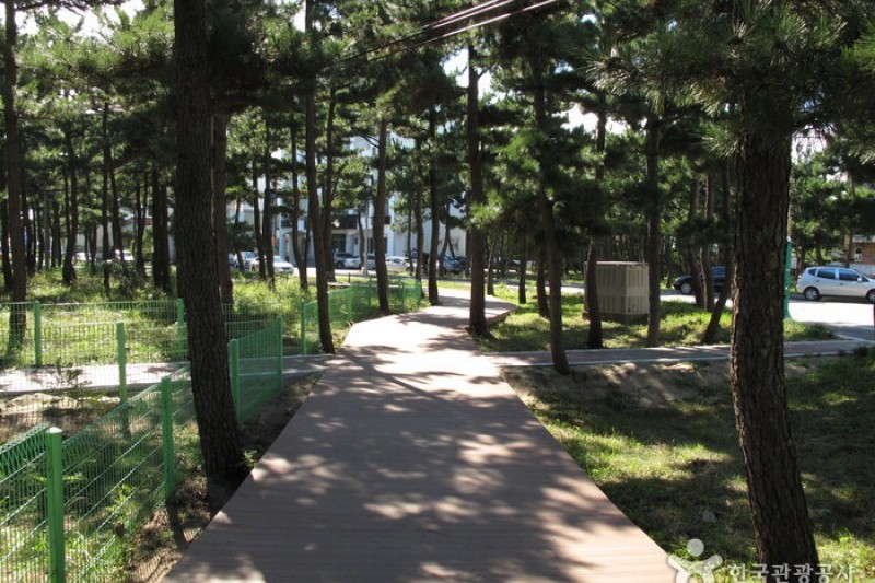 洛山海邊(洛山海水浴場)