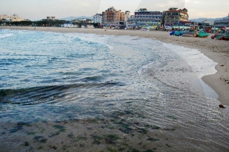 洛山海邊(洛山海水浴場)