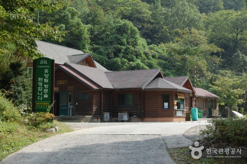 米川谷自然休養林  (1/12)