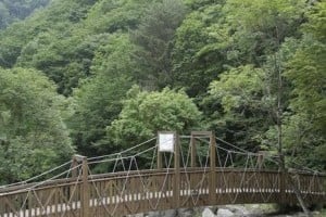 Jipdari谷自然休養林 