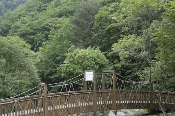 Jipdari谷自然休養林