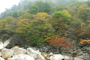 飛仙台