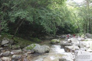 芳台山