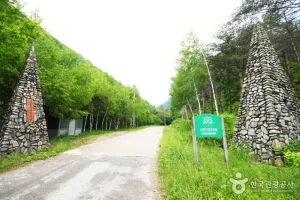 三峰自然休養林 