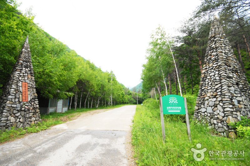 三峰自然休養林  (1/11)