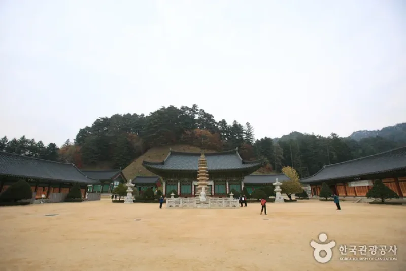 月精寺山寺體驗 (1/2)