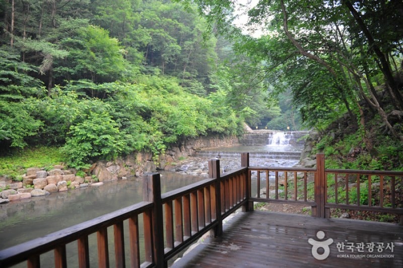國立白雲山自然休養林 (1/3)