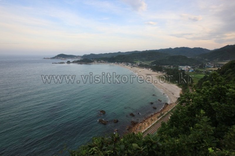龍化海邊 (1/11)