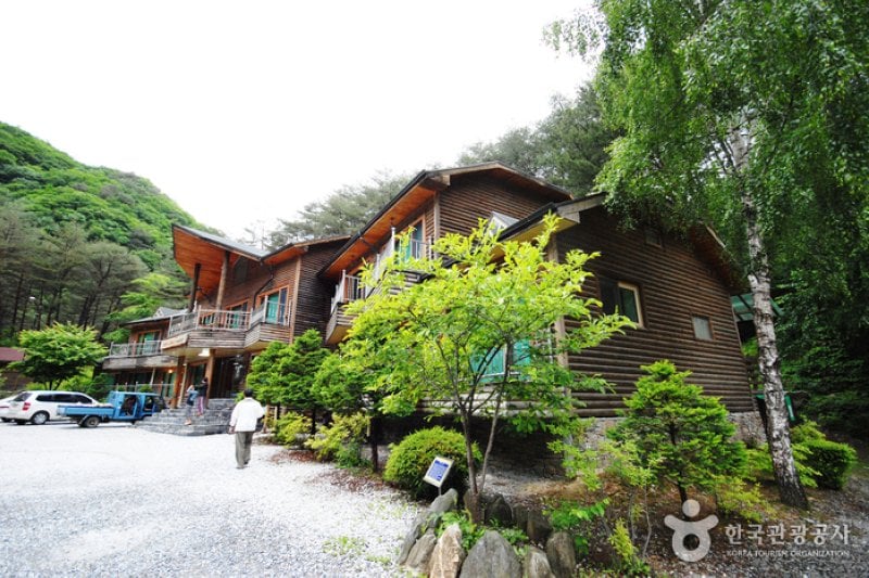 國立加里旺山自然休養林 (1/20)
