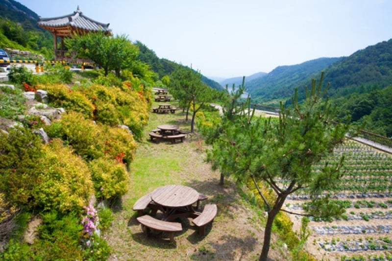 航海家渡假民宿[韓國觀光品質認證/Korea Quality]보이저펜션[한국관광 품질인증/Korea Quality] (10/26)