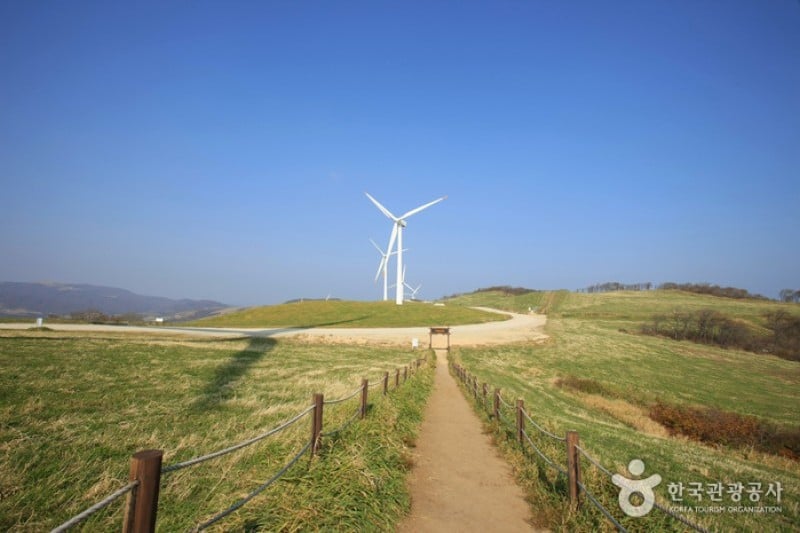 Eco Green Campus(三養牧場) (3/29)