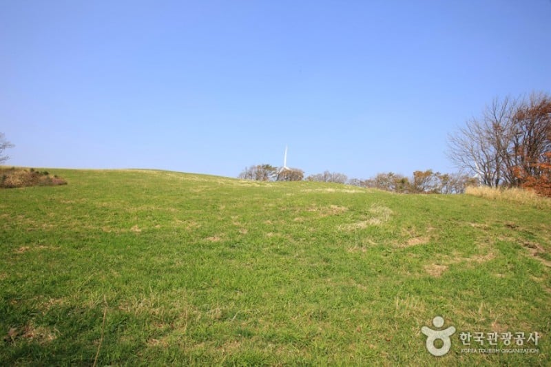 Eco Green Campus(三養牧場) (5/29)