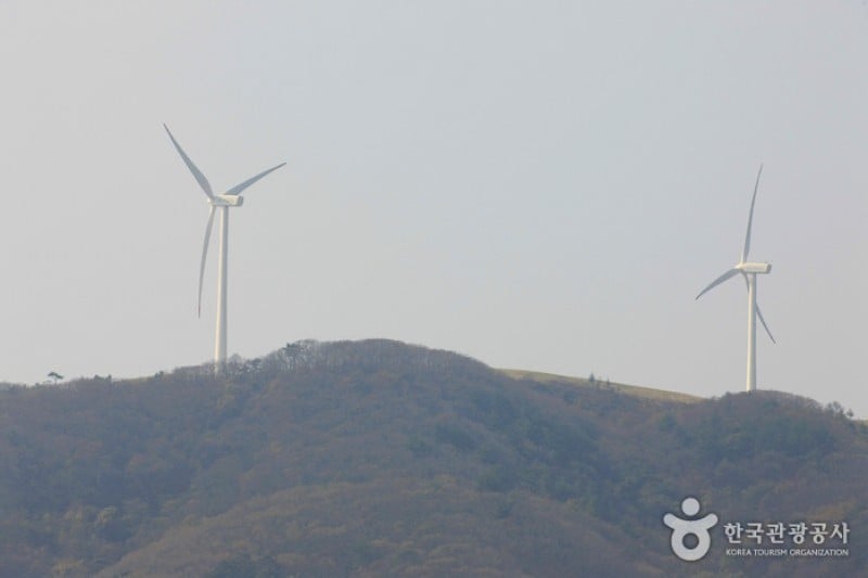 Eco Green Campus(三養牧場) (9/29)