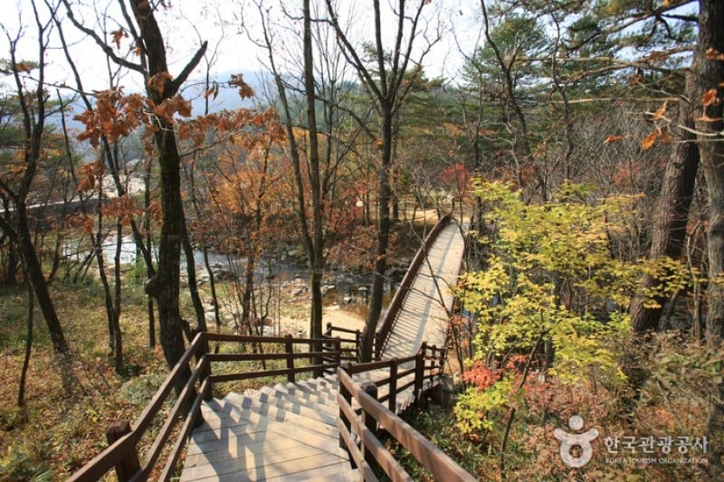 Eco Green Campus(三養牧場) (13/29)