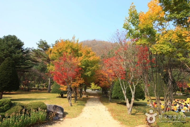 Eco Green Campus(三養牧場) (14/29)