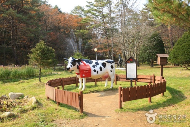 Eco Green Campus(三養牧場) (15/29)