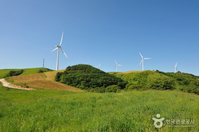 Eco Green Campus(三養牧場) (21/29)