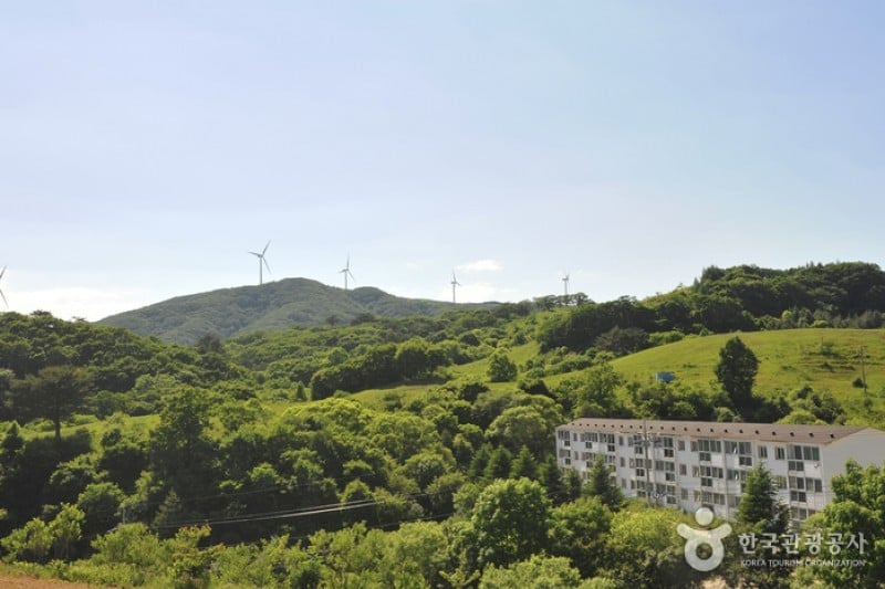 Eco Green Campus(三養牧場) (23/29)