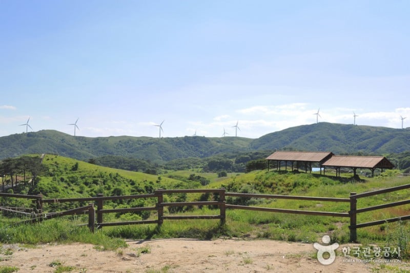 Eco Green Campus(三養牧場) (24/29)