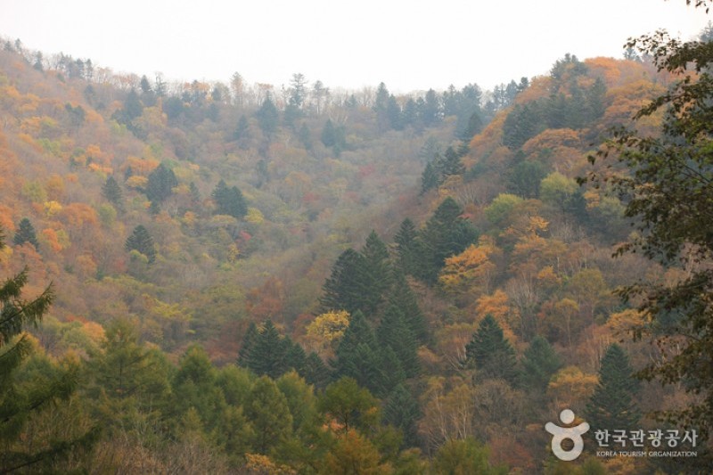 五臺山國立公園  (6/10)
