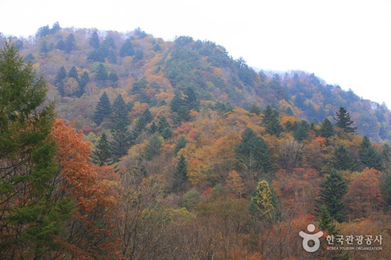 五臺山國立公園  (9/10)