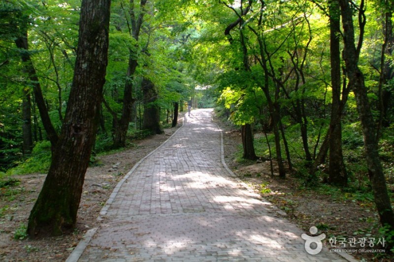 五臺山國立公園  (10/10)