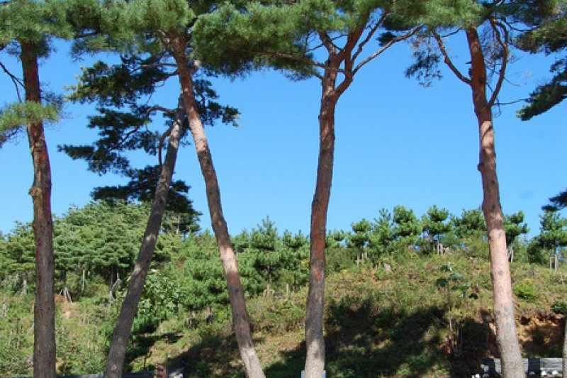 洛山寺 