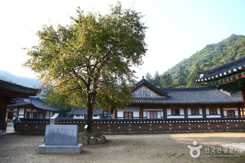 百潭寺  (4/20)