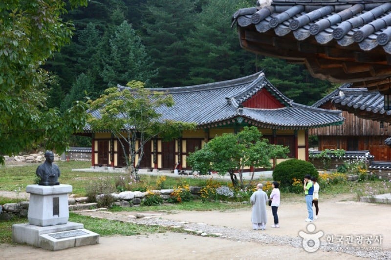 百潭寺  (11/20)