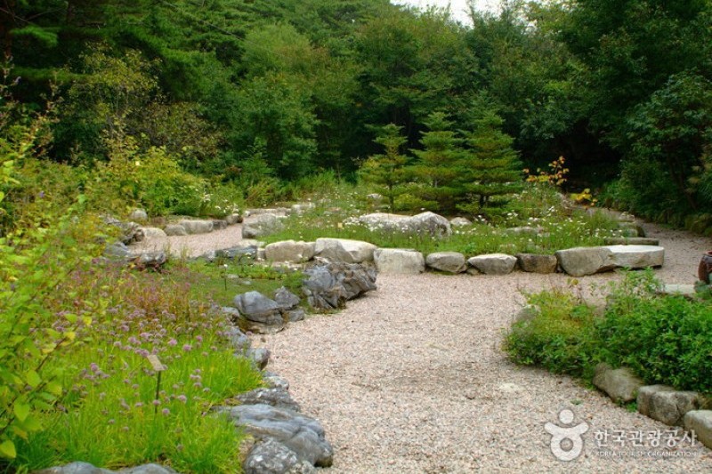 韓國野生植物園 (1/22)
