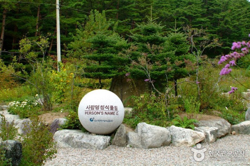 韓國野生植物園 (5/22)