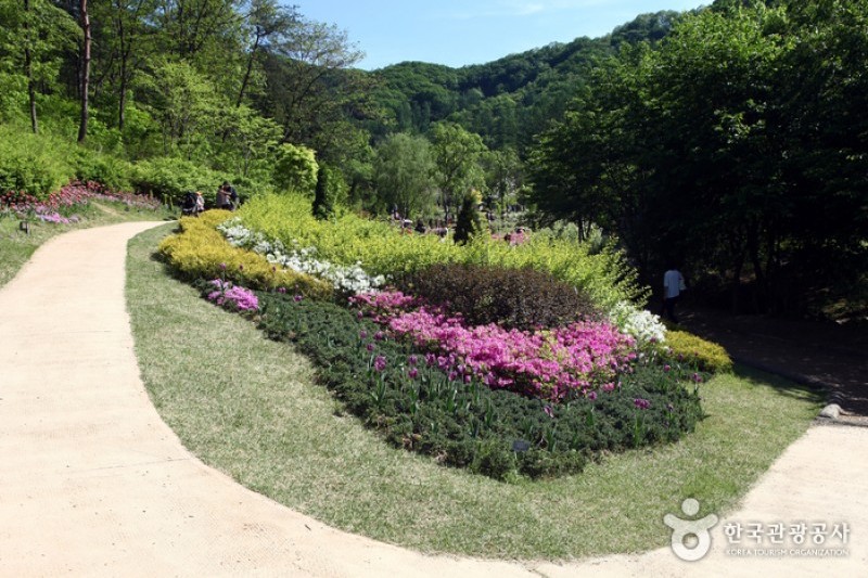 Jade Garden樹木園 (3/11)