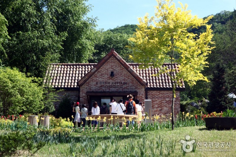 Jade Garden樹木園 (4/11)