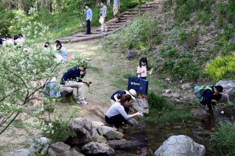 Jade Garden樹木園 (5/11)