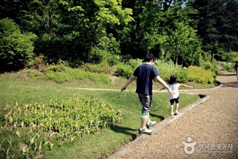 Jade Garden樹木園 (9/11)