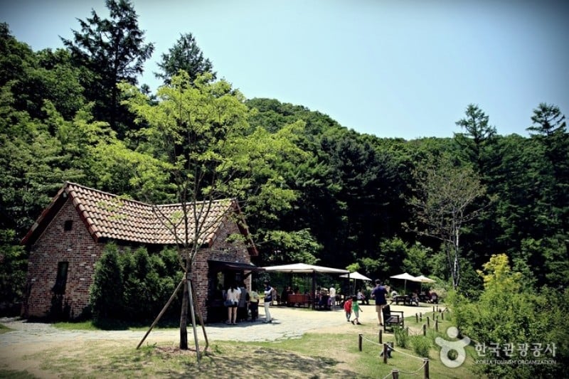 Jade Garden樹木園 (10/11)