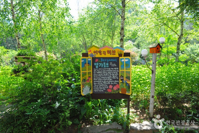 香草國度農園