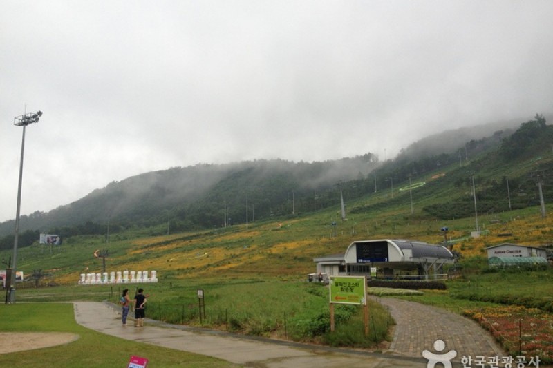 Holiday Inn Alpensia平昌渡假村